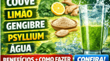 BENEFÍCIOS dos suco de Couve, Limão, Gengibre, Psyllium e Água